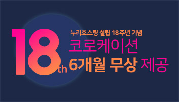 누리호스팅 성립 18주년 기념 코로케이션 6개월 무상제공